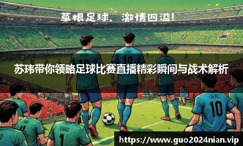 6686体育官网版