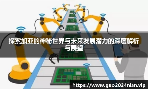 6686体育官网版