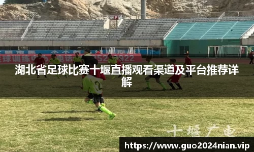 6686体育手机网页版登录