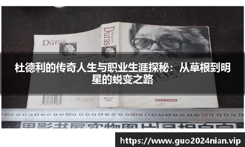6686体育官网入口