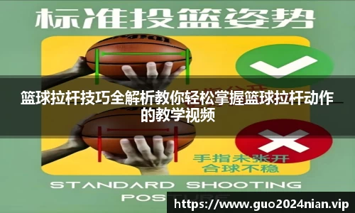 6686体育官网版