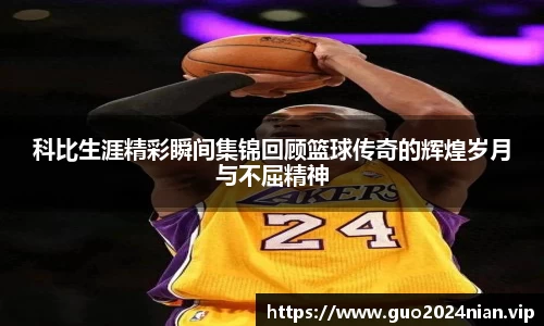 6686体育官网入口