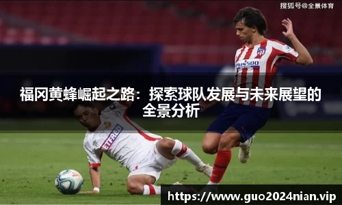 福冈黄蜂崛起之路：探索球队发展与未来展望的全景分析