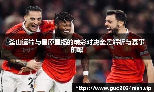 釜山运输与昌原直播的精彩对决全景解析与赛事前瞻